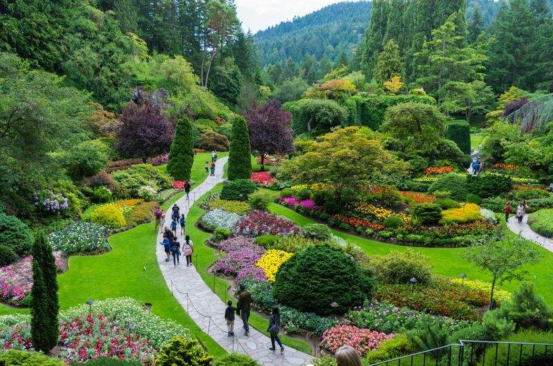 Jardins Harmonie Paysage