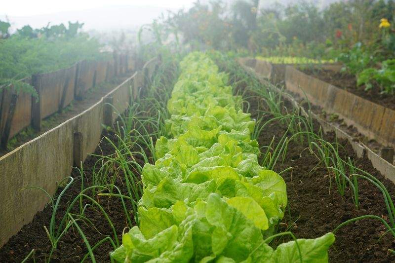 Préparer son jardin pour le printemps en toute sérénité