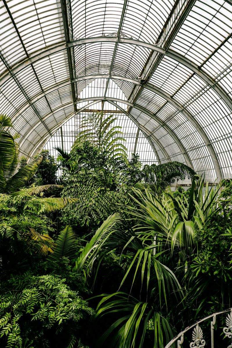 Jardins Harmonie Paysage 1
