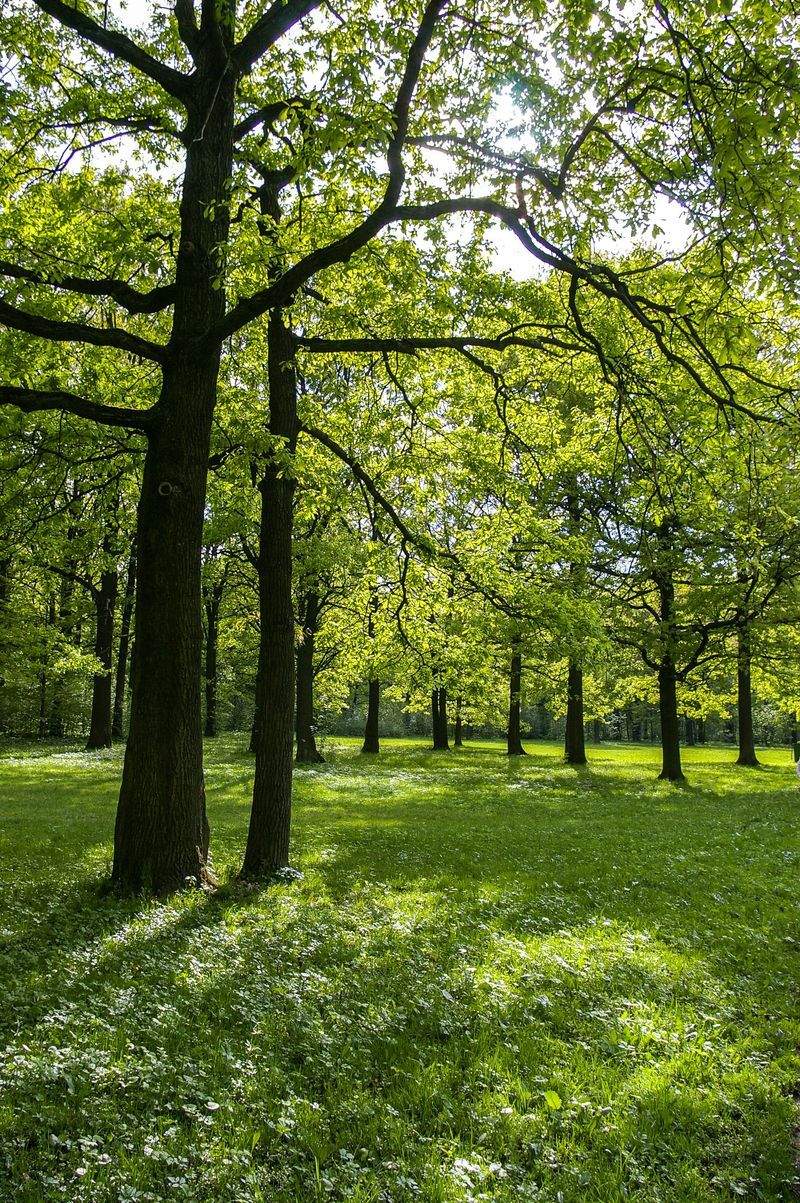 Jardins Harmonie Paysage 15